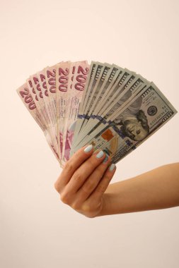 Türk Lirası ve Amerikan Doları
