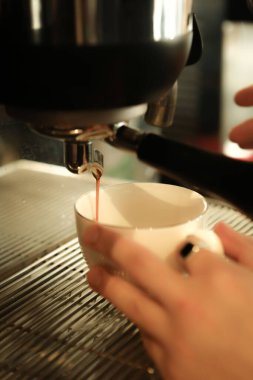 Kahve odasında kahve hazırlayan barista.