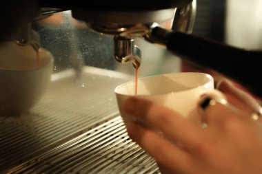 Kahve odasında kahve hazırlayan barista.