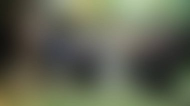 Bulanık arkaplan dokusu temasıName