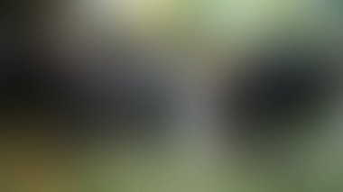 Bulanık arkaplan dokusu temasıName