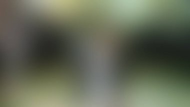 Bulanık arkaplan dokusu temasıName