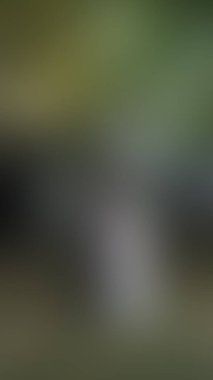 Bulanık arkaplan dokusu temasıName