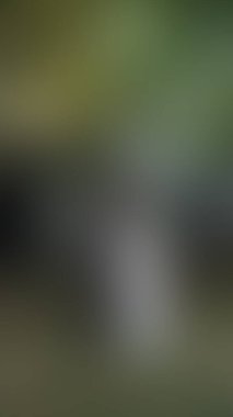 Bulanık arkaplan dokusu temasıName