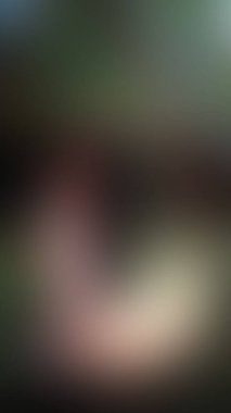 Bulanık arkaplan dokusu temasıName