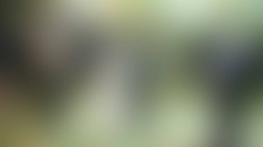 Bulanık arkaplan dokusu temasıName