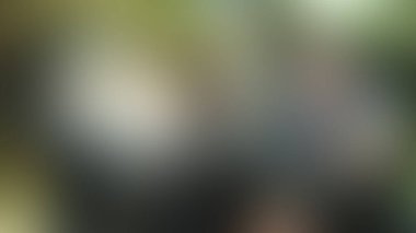 Bulanık arkaplan dokusu temasıName