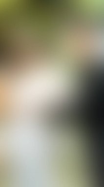 Bulanık arkaplan dokusu temasıName