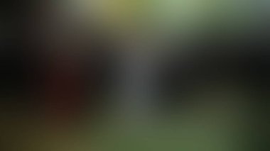 Bulanık arkaplan dokusu temasıName