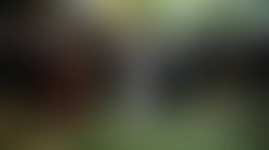 Bulanık arkaplan dokusu temasıName