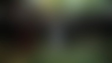 Bulanık arkaplan dokusu temasıName