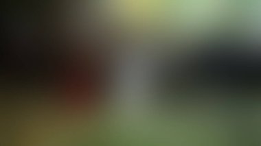 Bulanık arkaplan dokusu temasıName