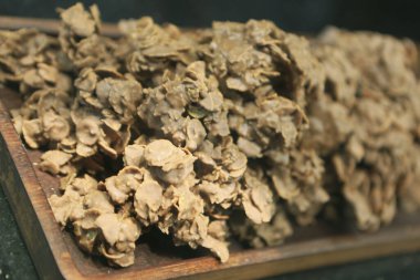 Bir grup çeşit kurabiye. Çikolata parçacıklı, yulaflı, kuru üzümlü, beyaz çikolatalı.