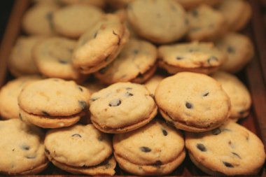 Bir grup çeşit kurabiye. Çikolata parçacıklı, yulaflı, kuru üzümlü, beyaz çikolatalı.