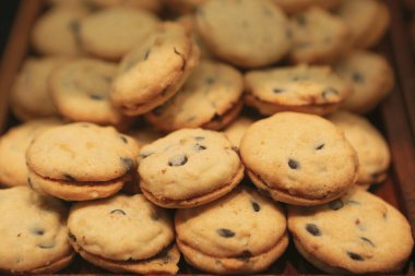 Bir grup çeşit kurabiye. Çikolata parçacıklı, yulaflı, kuru üzümlü, beyaz çikolatalı.