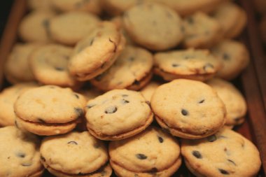 Bir grup çeşit kurabiye. Çikolata parçacıklı, yulaflı, kuru üzümlü, beyaz çikolatalı.