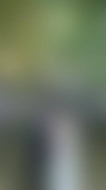 Bulanık arkaplan dokusu temasıName