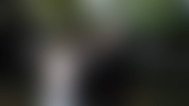 Bulanık arkaplan dokusu temasıName