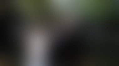 Bulanık arkaplan dokusu temasıName