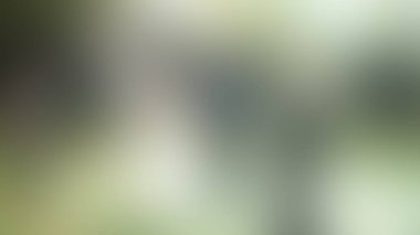 Bulanık arkaplan dokusu temasıName