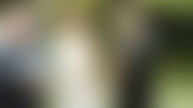 Bulanık arkaplan dokusu temasıName