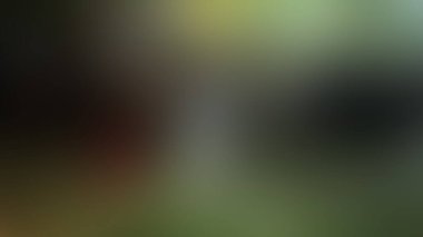 Bulanık arkaplan dokusu temasıName