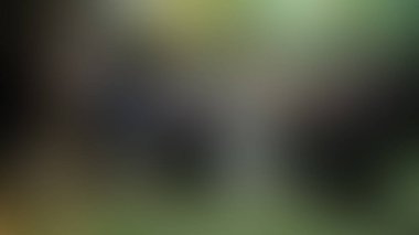 Bulanık arkaplan dokusu temasıName