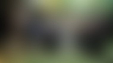 Bulanık arkaplan dokusu temasıName