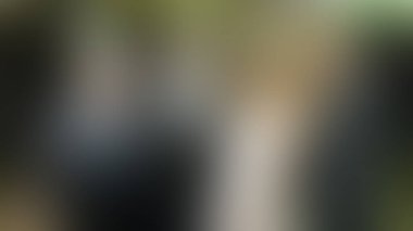 Bulanık arkaplan dokusu temasıName