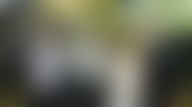 Bulanık arkaplan dokusu temasıName