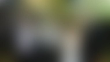 Bulanık arkaplan dokusu temasıName