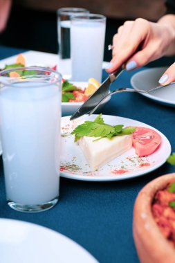 Özel Alkollü İçkili Rakılı Türk ve Yunan Geleneksel Yemek Masası. Uzo ve Türk Rakısı, Türkiye, Yunanistan, Kıbrıs ve Lübnan'da yaygın olarak tüketilen kuru anason aromalı bir aperatiftir.