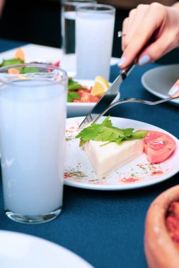 Özel Alkollü İçkili Rakılı Türk ve Yunan Geleneksel Yemek Masası. Uzo ve Türk Rakısı, Türkiye, Yunanistan, Kıbrıs ve Lübnan'da yaygın olarak tüketilen kuru anason aromalı bir aperatiftir.