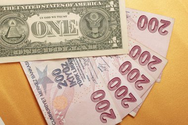 Türk Lirası ve Amerikan Doları