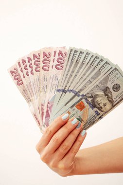 Türk Lirası ve Amerikan Doları