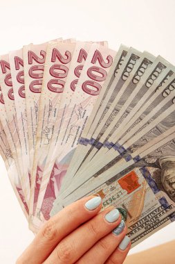 Türk Lirası ve Amerikan Doları
