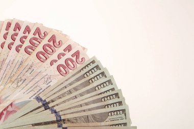 Türk Lirası ve Amerikan Doları