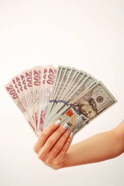 Türk Lirası ve Amerikan Doları