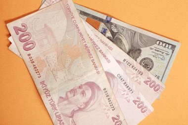 Türk Lirası ve Amerikan Doları