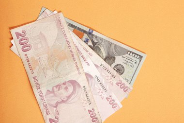 Türk Lirası ve Amerikan Doları