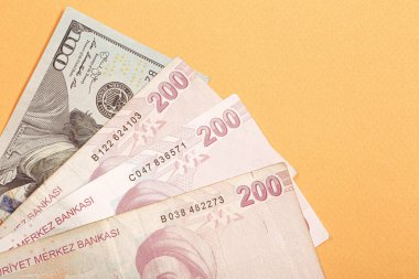Türk Lirası ve Amerikan Doları