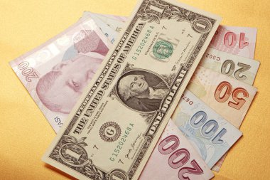 Türk Lirası ve Amerikan Doları