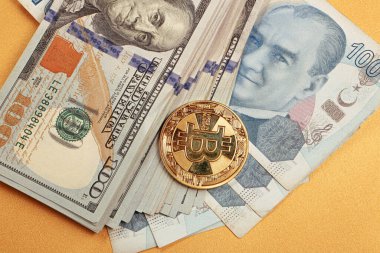 Türk lirası, Amerikan doları ve bitcoin paraları