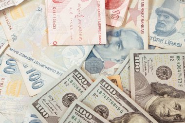 Multi Euro Nakit ve Bozuk Para, farklı türde yeni nesil banknotlar, bitcoin, Türk lirası