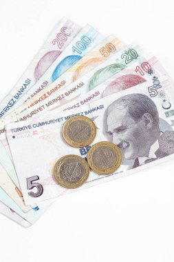 Türk para birimi ve Türk lireti banknotları