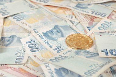 Türk lira banknotları ve bitcoin paraları