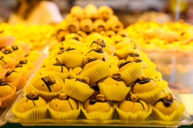 Bir grup çeşit kurabiye. Çikolata parçacıklı, yulaflı, kuru üzümlü, beyaz çikolatalı.