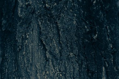 Bir ağacın kahverengi kabuğunun kabartmalı dokusu.