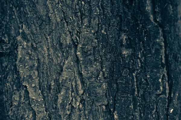 木の茶色の樹皮のエンボス加工テクスチャ — ストック写真