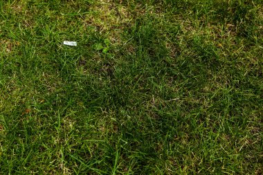 Yeşil yapay ot doğal arkaplan